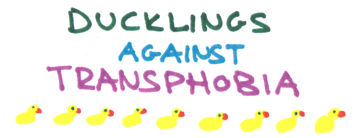 A Sticker which reads: Ducklings Against Transphobia