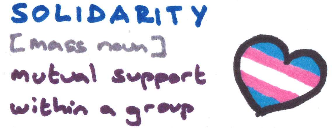 A Sticker which reads: Solidarity - Trans Flag Heart